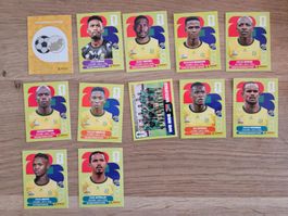Panini WM 2026 RSA