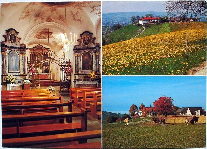 Ansichtskarten: MENZINGEN Kloster Gubel - Kühe – Gebraucht aus Jona von philajona