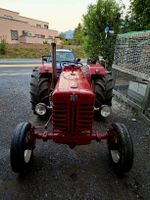 Mc Cormick D436