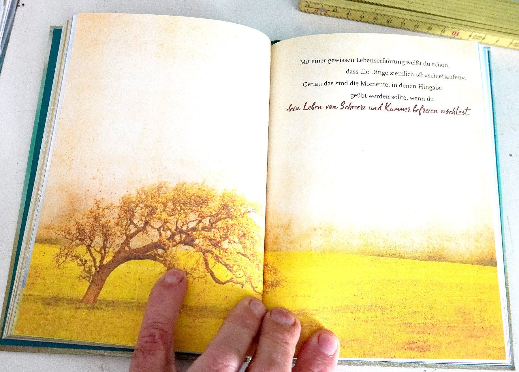 Libri: Eckhart Tolle Jetzt! – Usato da Baar venduto da 2cvbaar 1