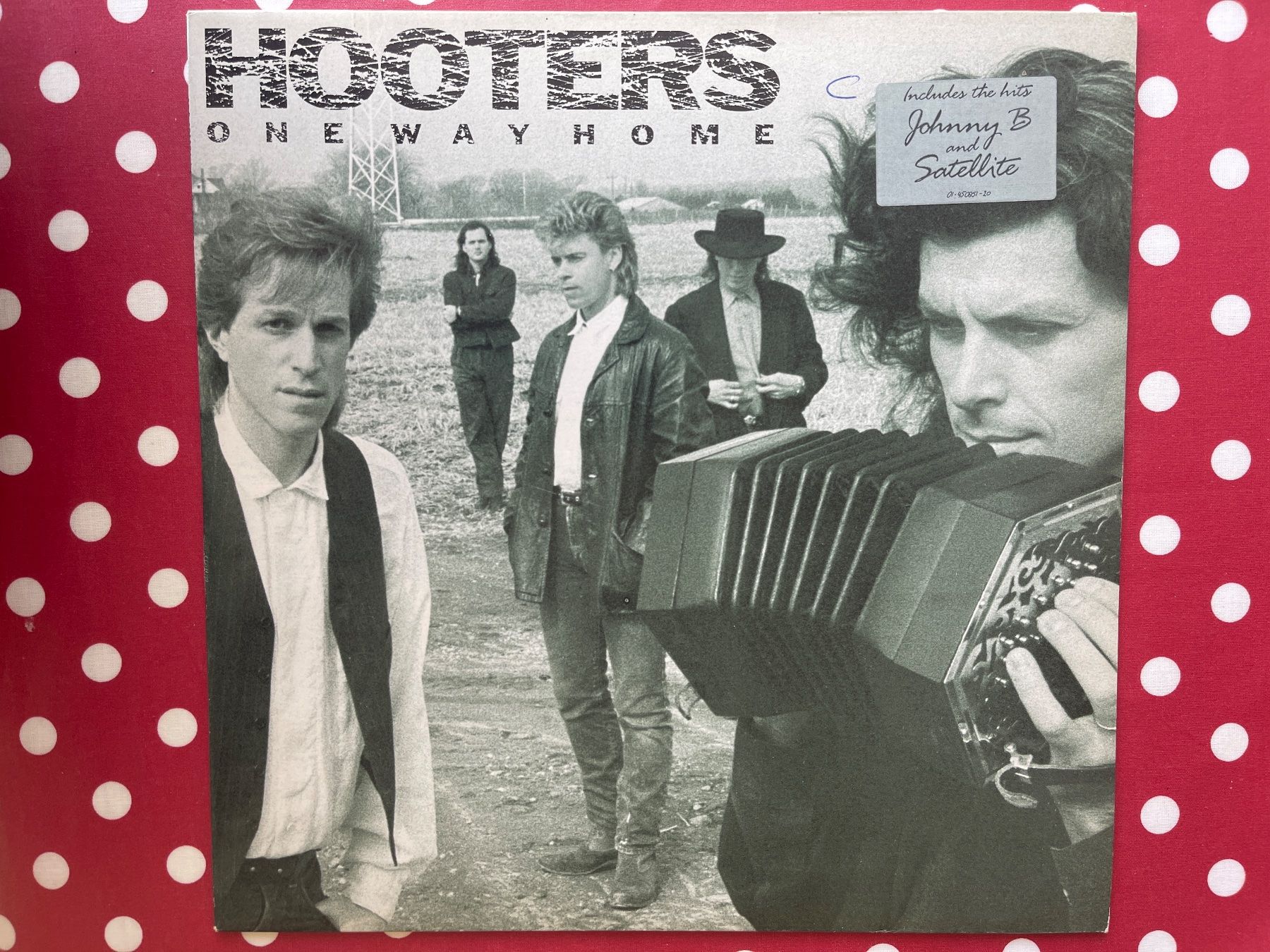 Vinyles: A510/The Hooters - One Way Home – D'occasion à Frutigen par Philippe_jsp