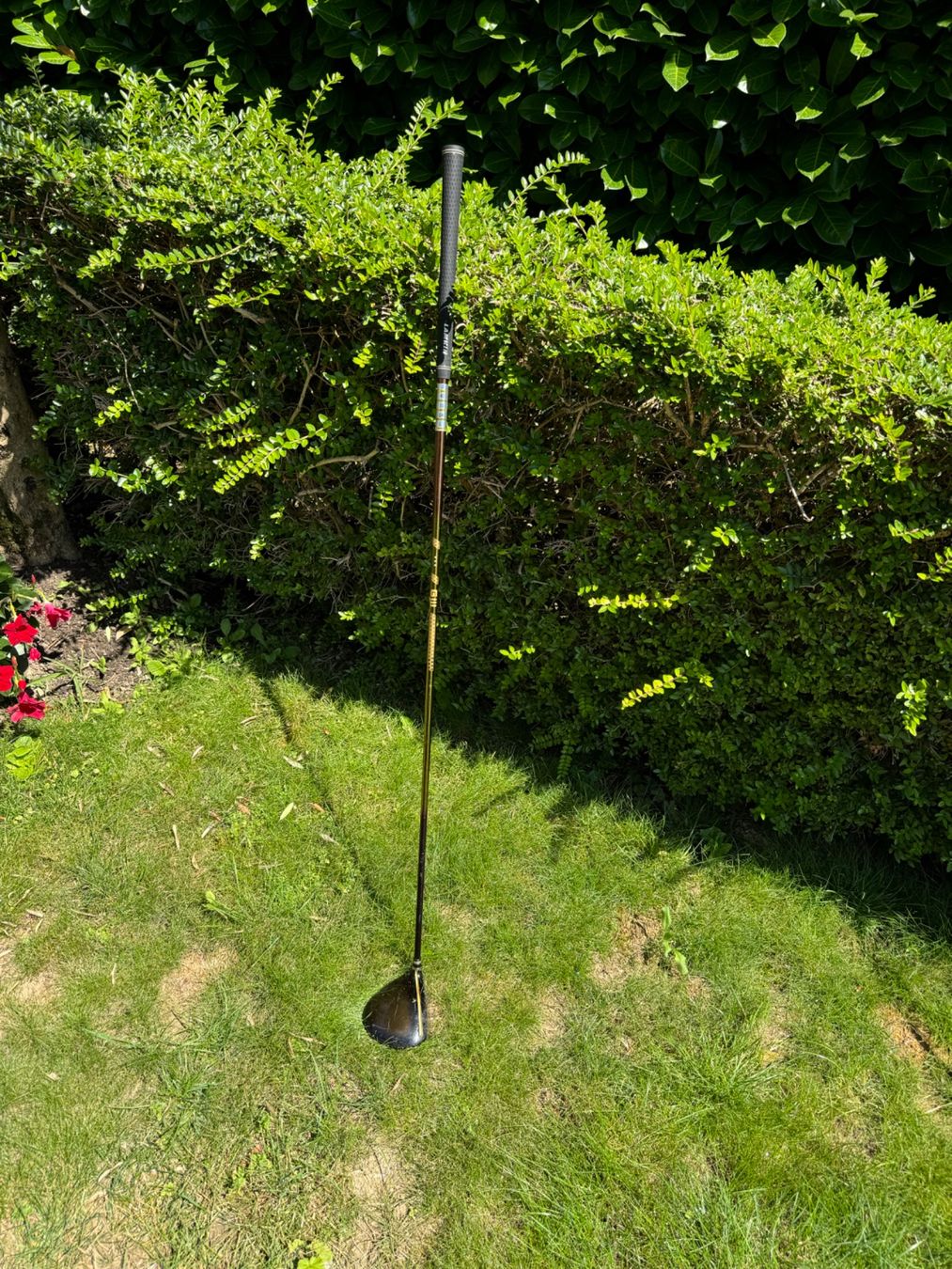 Mazze & Set: Clubs golf dame Daiwa – Usato da Genève venduto da flocon06 1