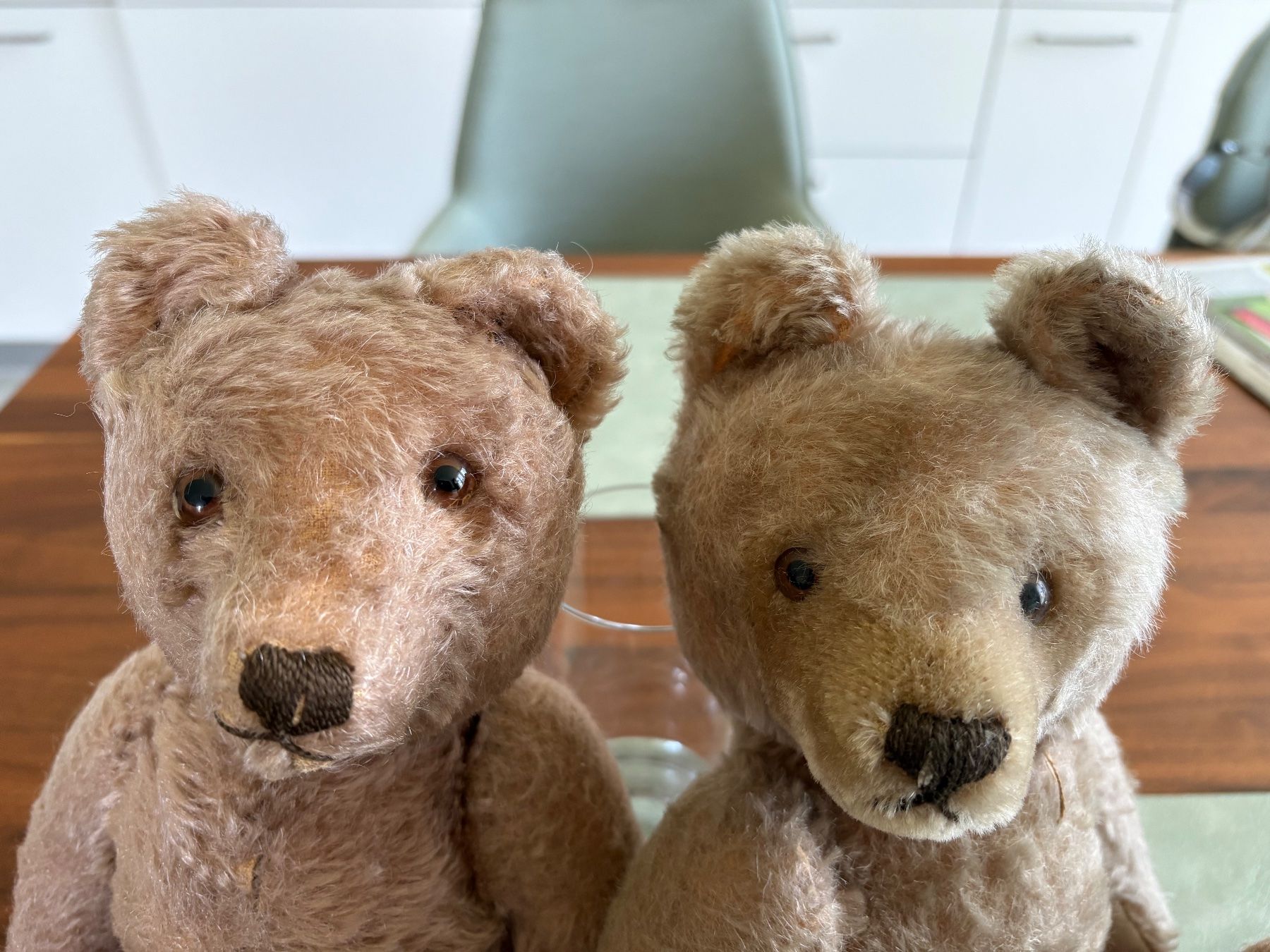 Steiff Spielzeuge: Steiff Teddys – Gebraucht aus Schönenberg ZH von Roxana8820 2