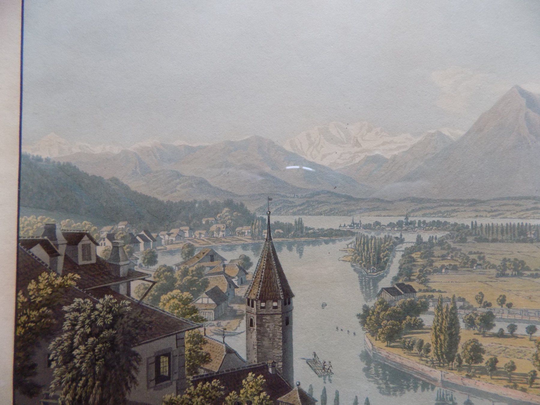 Gravures: Thun Lory selten – D'occasion à Risch par Rischli15 6