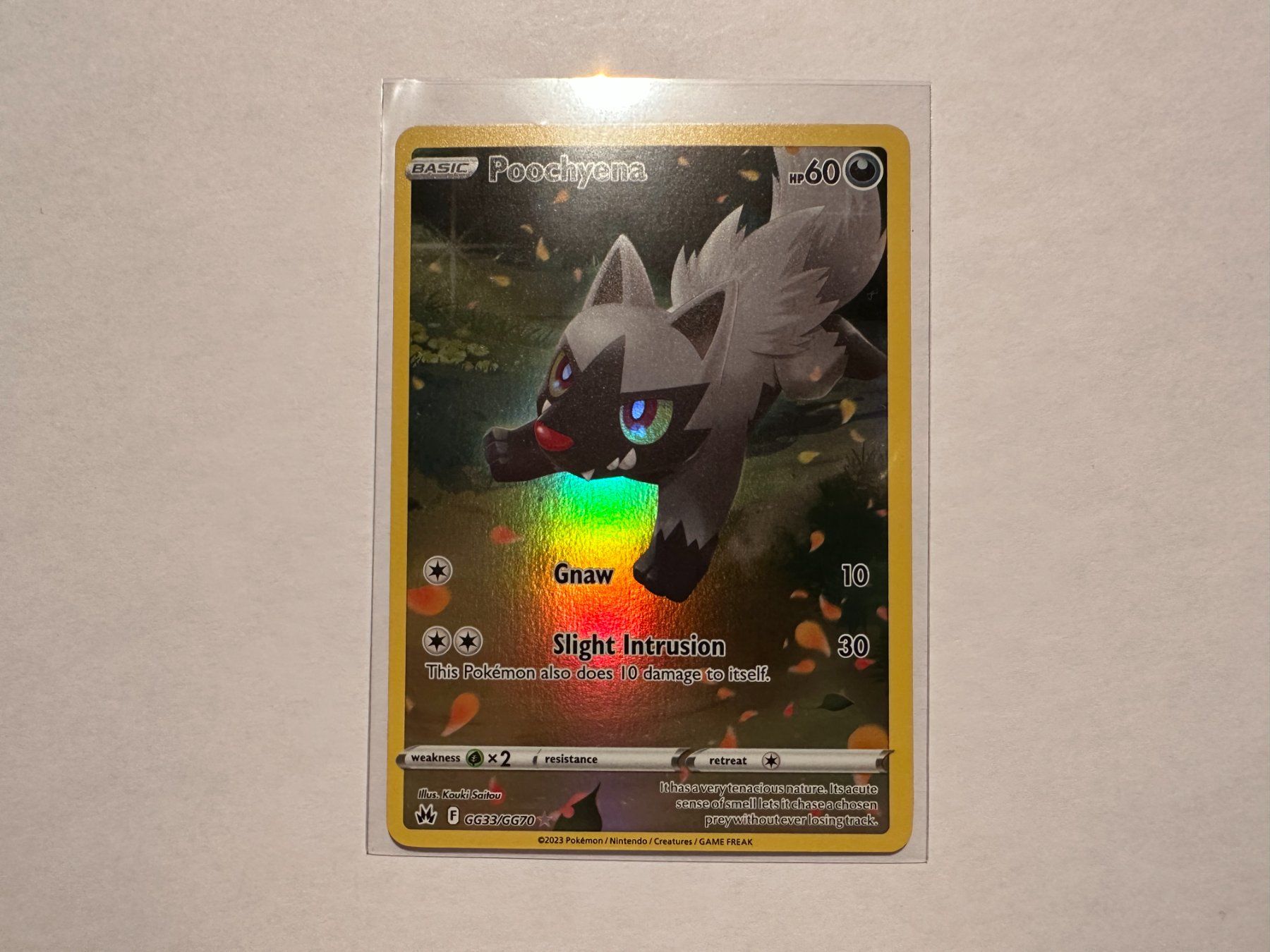 Pokémon Carte collezionabili: Poochyena Fullart Crown Zenith EN – Nuovo (secondo la descrizione) da Hagendorn venduto da Pokecollectorch