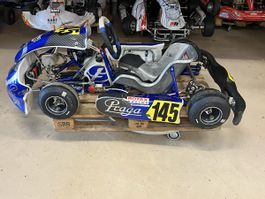 Go-Kart Praga Monster Evo 3 CIK-FIA guter Zustand