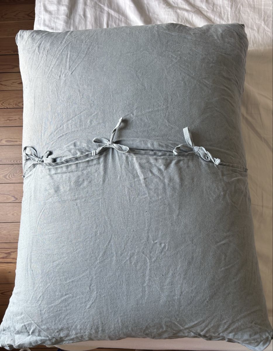 Cuscini: Maxi coussin Zara + 2 taies – Usato da Genève venduto da Sarahchge 1