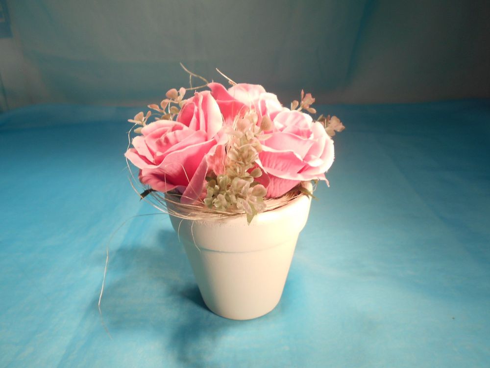 Drei rosa Rosen im Topf, H 13cm Kaufen auf Ricardo