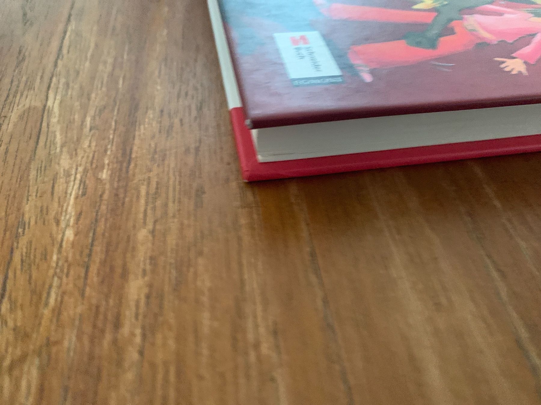 Libri: Hexe hoch zu Ross , No Jungs – Usato da Regensdorf venduto da Spyke55 1