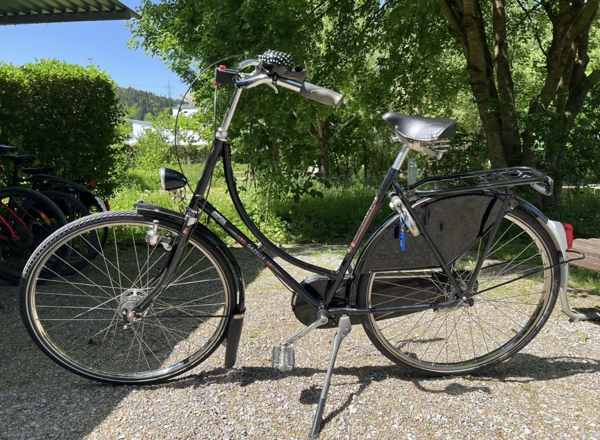 Biciclette: Gazelle Popular – Usato da Fällanden venduto da Caramel7