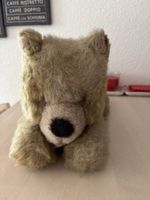 Steiff Plüschtier Teddybär made in Germany mit Etikett