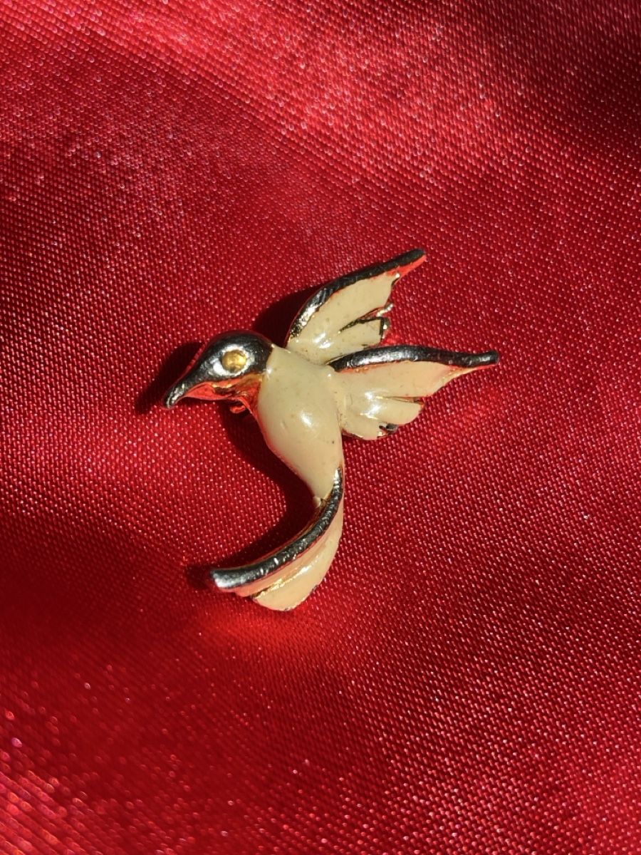 Spille & Fermagli: Kleine süsse Kolibri Brosche – Usato da Fribourg venduto da Mymikrakra01