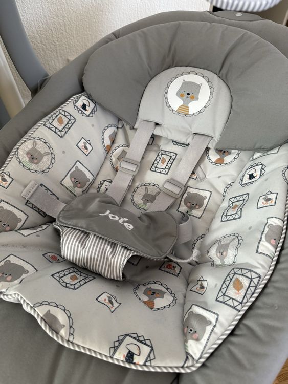 Joie Serina 2in1 Babyschaukel, Grau, Top Zustand! (Neu (gemss  Beschreibung)) in Gmligen fr CHF 70  nur Abholung auf Ricardo kaufen