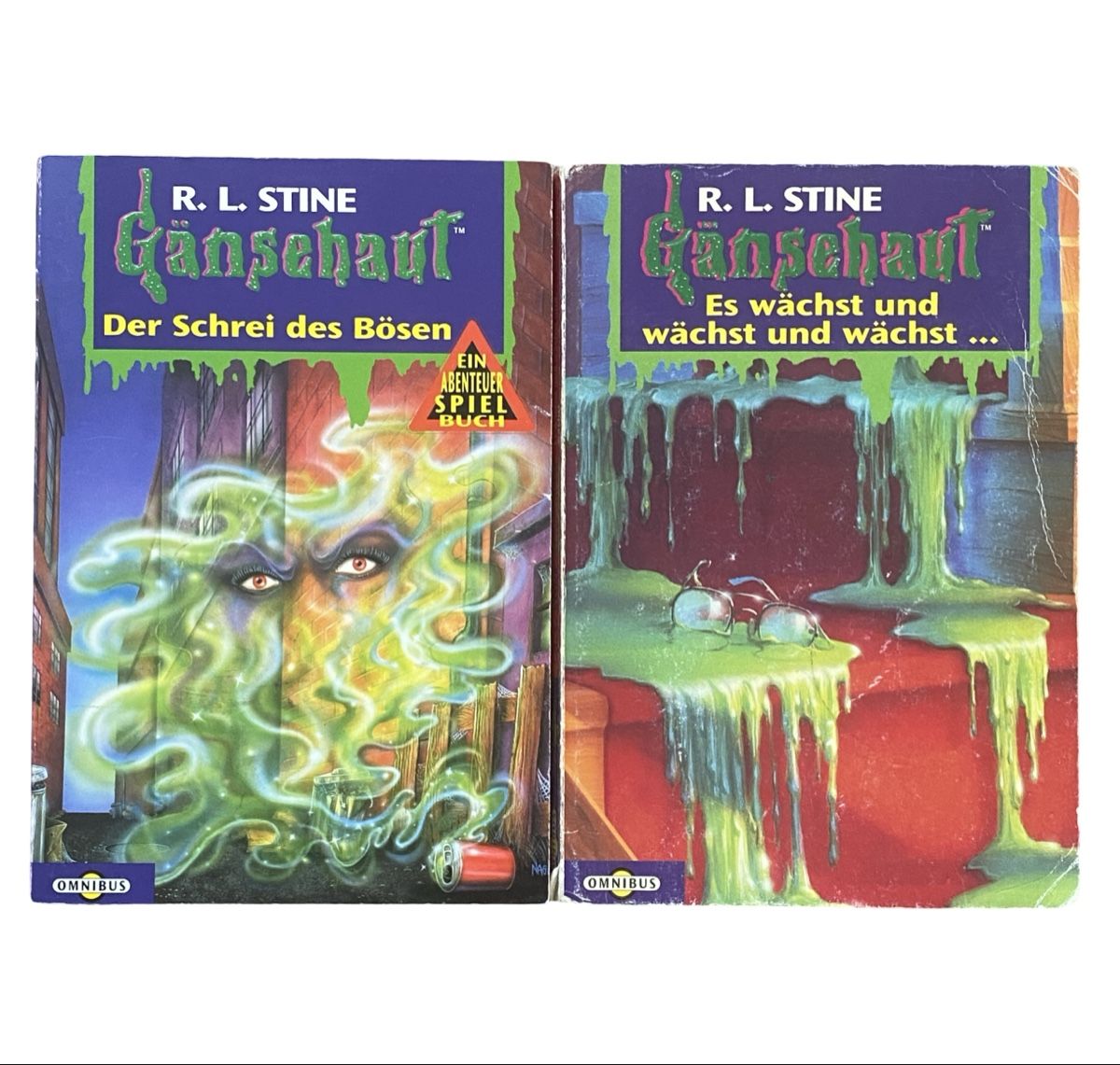 Bücher: R.L. Stine Gänsehaut Bücher-Set – Gebraucht aus Bonstetten von zweitihand.shop 3