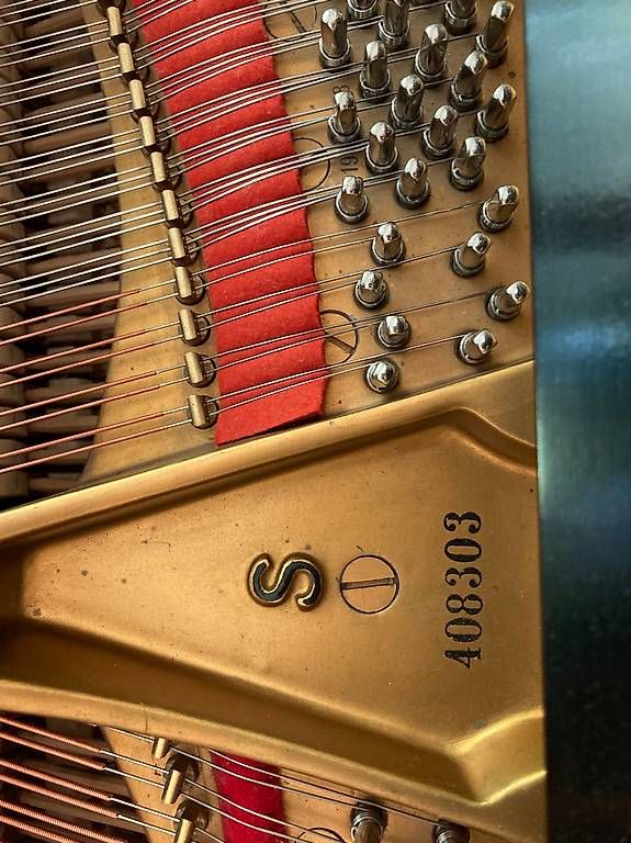 Musikinstrumente: Magnifique piano à queue Steinway & Sons 155 S – Gebraucht aus Le Grand-Saconnex von Jacoline 3