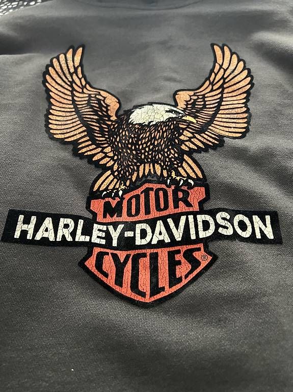 Giacche: Harley Davidson Kapuzenpullover mit Reissverschluss  – Usato da Spreitenbach venduto da R-8957 1