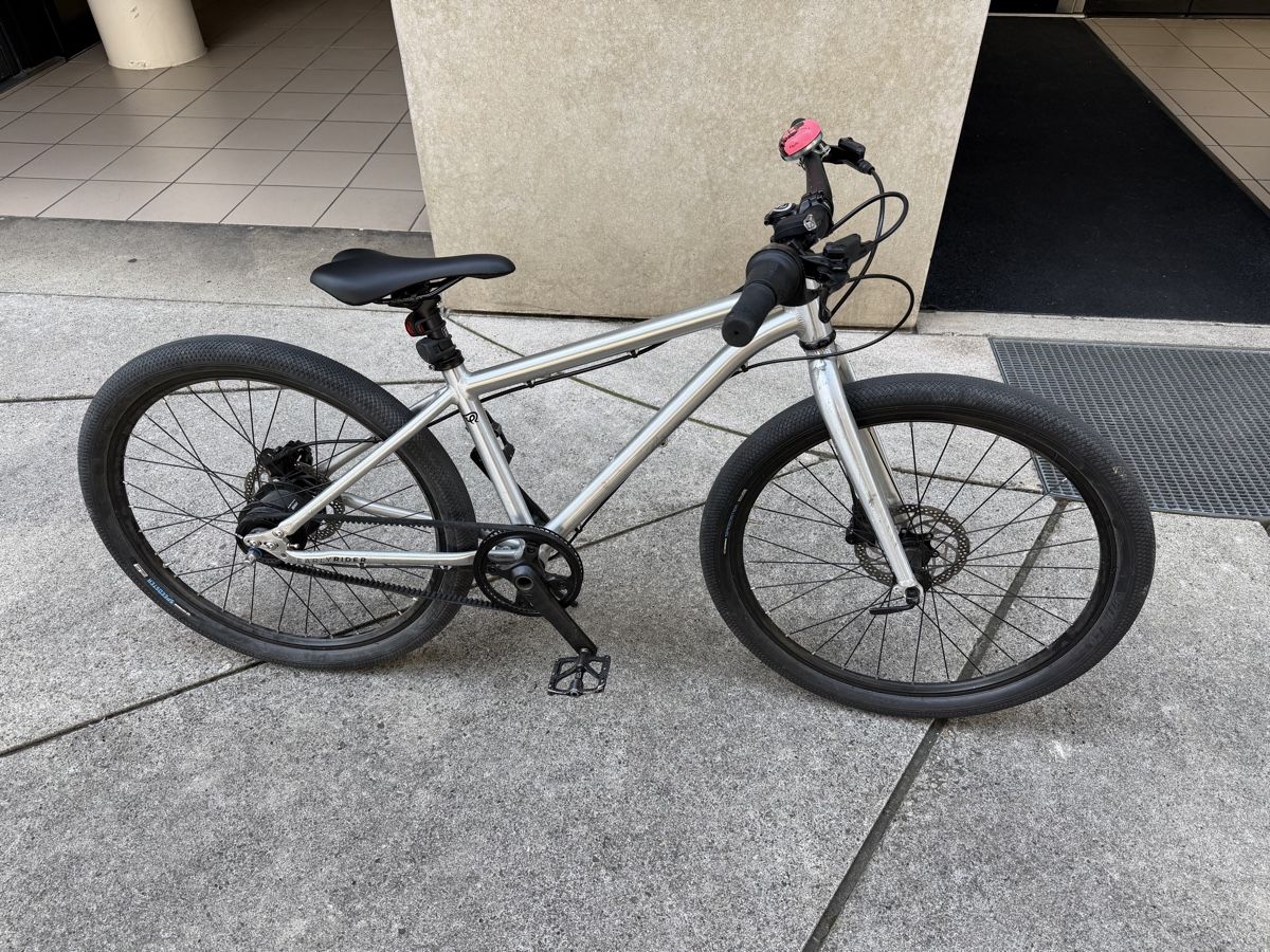 Early Rider Biciclette: EARLY RIDER 24 BELTER ALMOST NEW!!!! – Usato da Geneve venduto da nuc_c76m