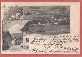 Selzach mit Uhrenhandlung E.Gisiger - 1902