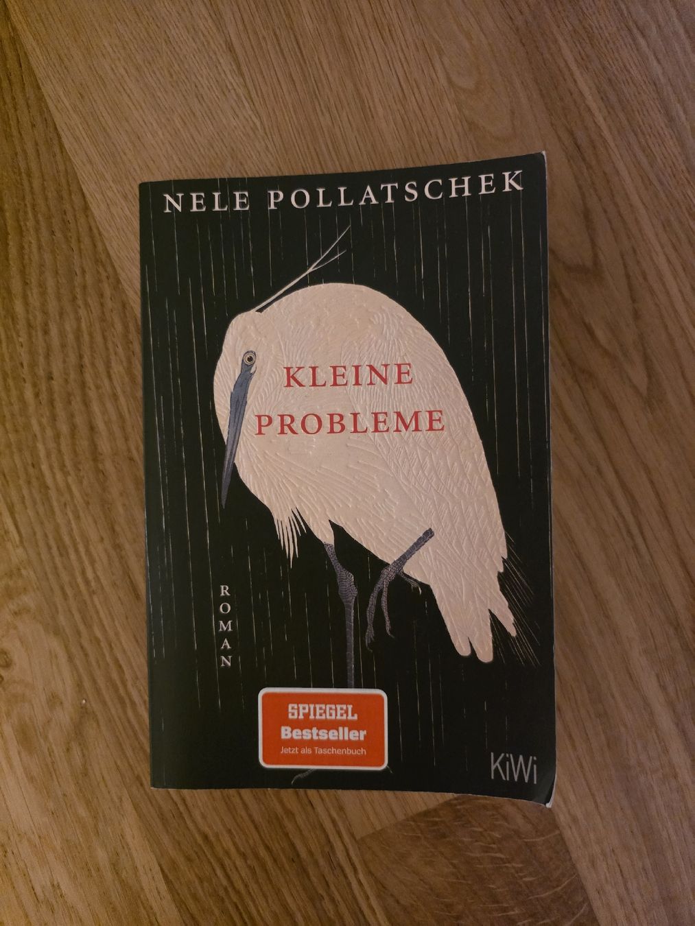 Libri: Buch Kleine Probleme von Nele Pollatschek – Usato da Solothurn venduto da leo_8kdh