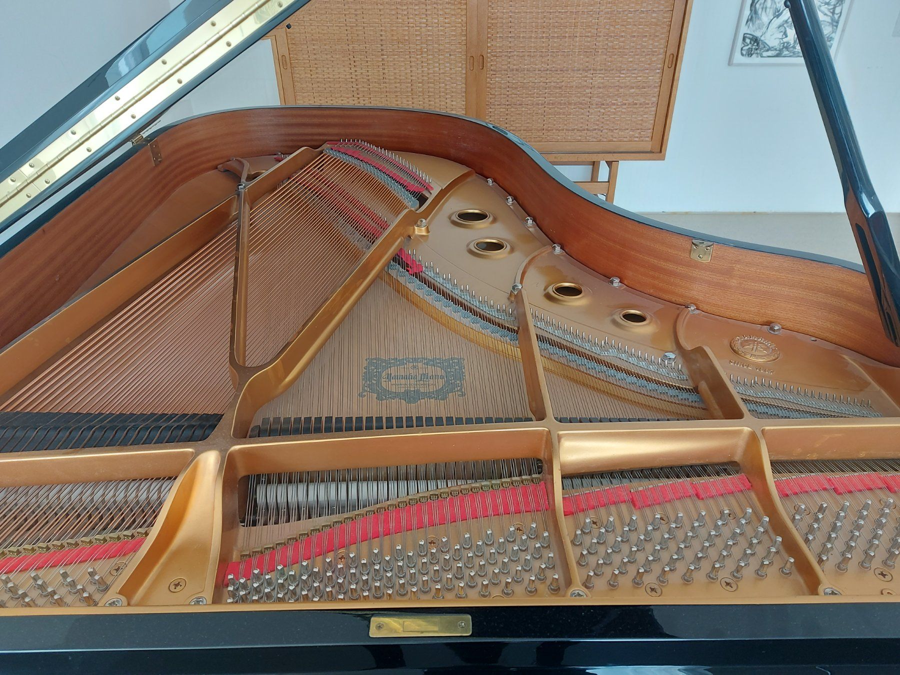 Yamaha Strumenti musicali: Yamaha Konzertflügel S4 – Usato da Zürich venduto da graj 4