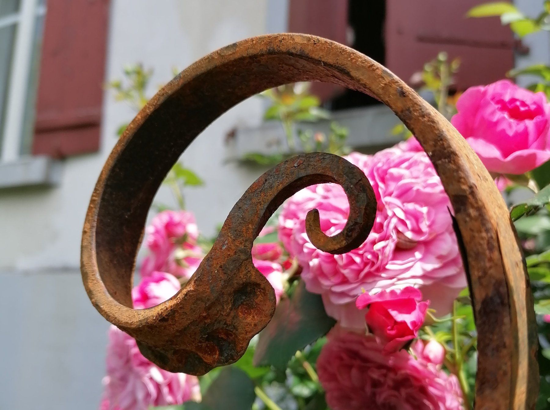 Tutte le decorazioni: Rosenstab / Gartenstab / Gartendekoration – Nuovo (secondo la descrizione) da Riedt b. Erlen venduto da BisD 5