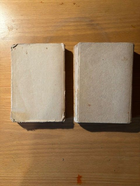 Libri: 2 antike Bücher von Erich Maria Remarque – Usato da Seon venduto da retep012 1