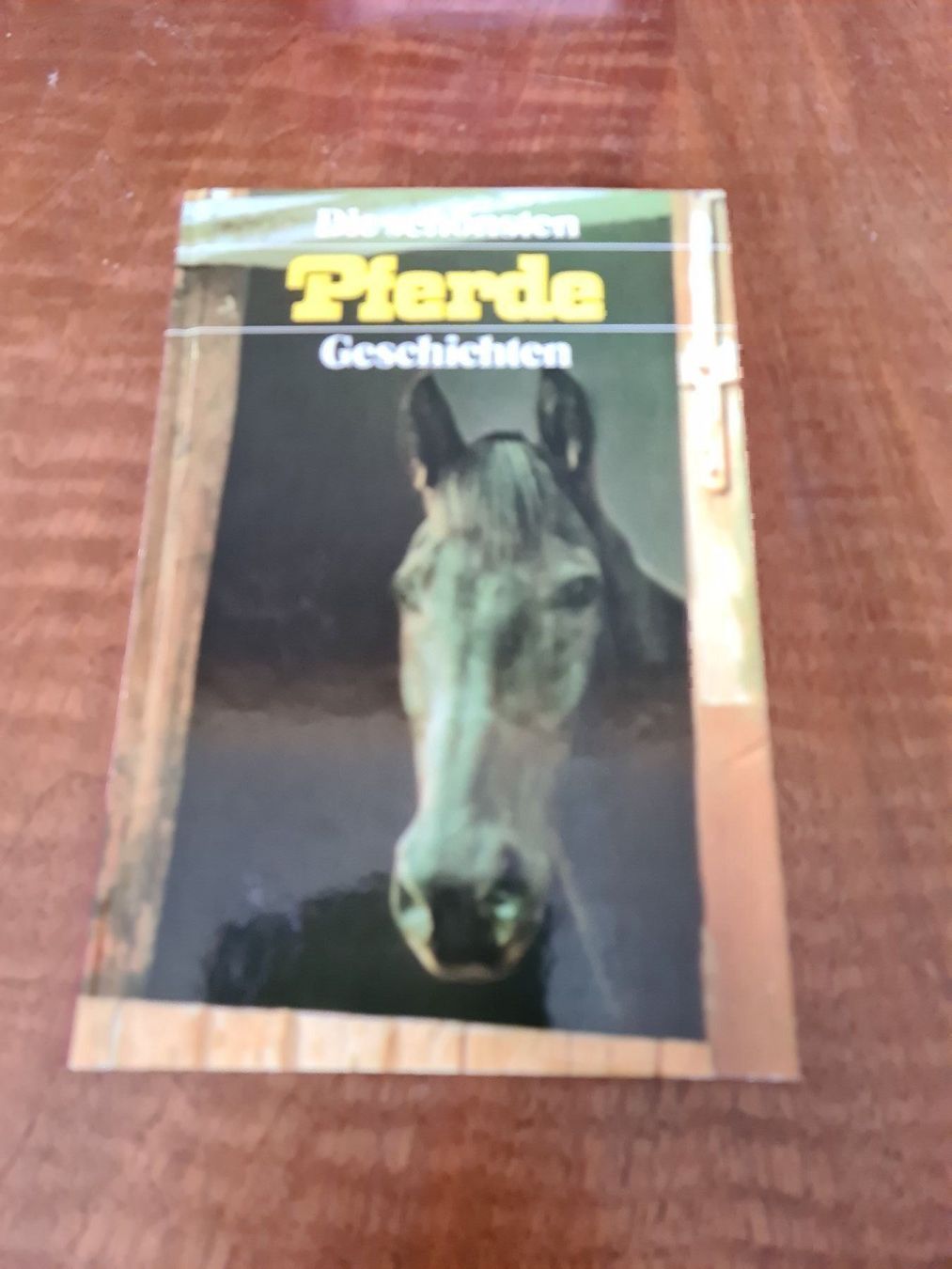Libri: Die schönsten Pferde Geschichten – Usato da Erstfeld venduto da Uhu1980