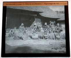 Glasdia Japan Reiskultur / Nr. 9 Riffeln des Reises, um 1900