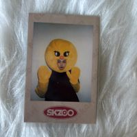 stray kids felix lovestay: skz-x polaroid photocard