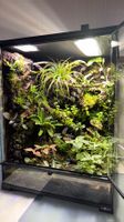 Natural bioactiv terrarium