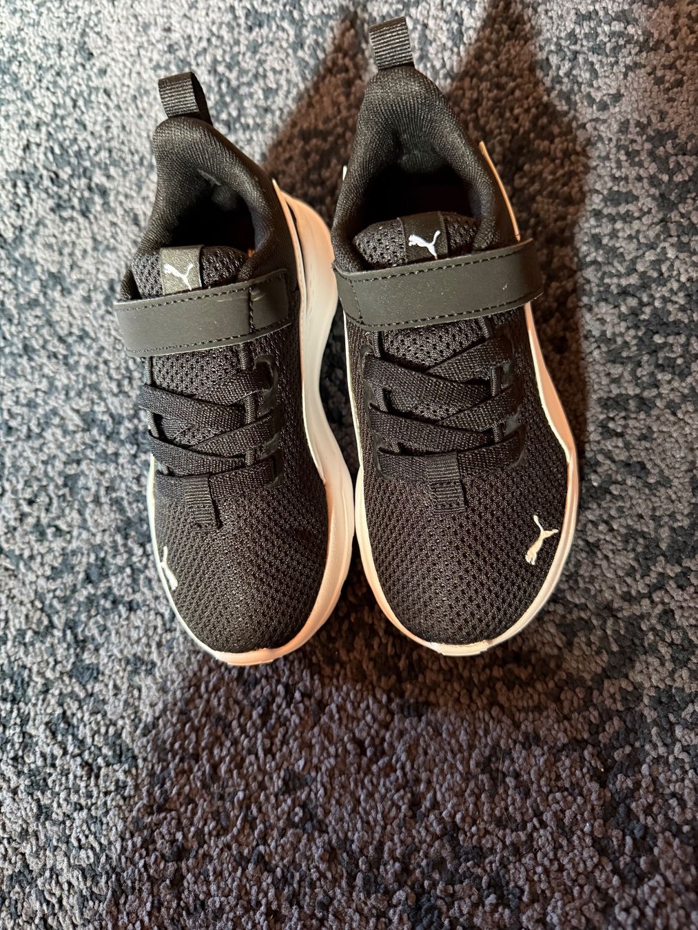 Puma Scarpe per ragazzi: Neue Puma Turnschuhe in Grösse 28 – Nuovo e nell'imballaggio originale da Hersiwil venduto da Sheila1986