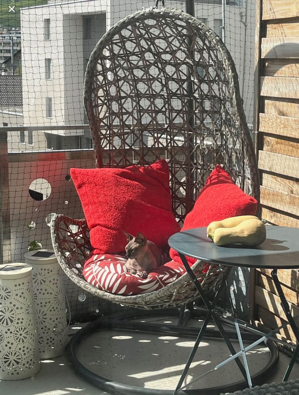 Poltrone pensili da giardino: Hängesessel mit Ständer – Usato da Sierre venduto da miimyculous