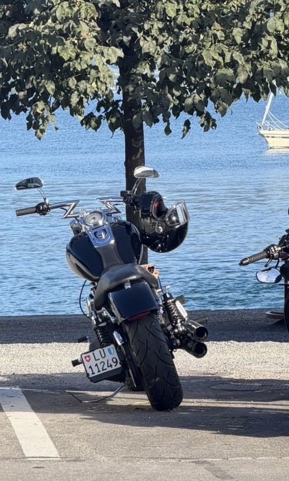 Harley-Davidson Chopper: Harley Davidson letzte Chance! – Usato da Adligenswil venduto da gab_96xz