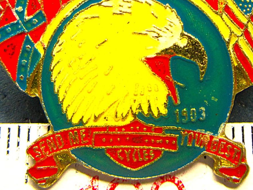 Harley-Davidson Placchette & Badge: HARLEY MOTORRAD PIN – Usato da Ettingen venduto da Hausi4711 1