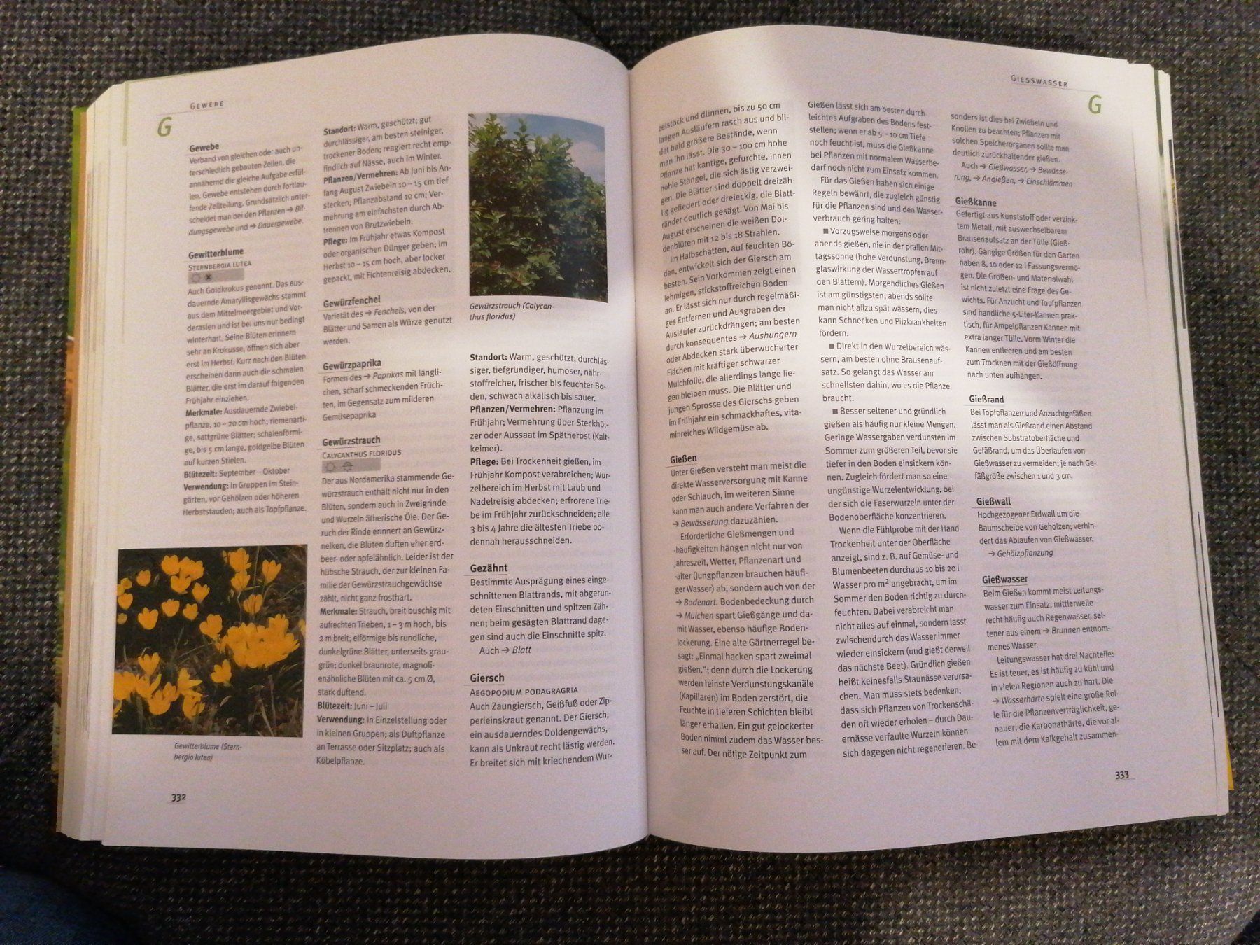 Libri: Das grosse Ulmer Gartenlexikon – Usato da Büttikon AG venduto da Amineah 2