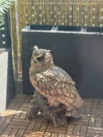 Gartenfigur Eule auf Baumstamm wetterfest braun