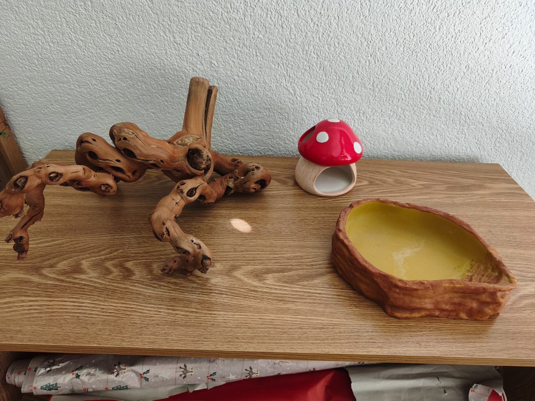 Gabbie, trasporto & Sicurezza: Terrarienzubehör gebraucht – Usato da Rheinfelden venduto da and_29ws