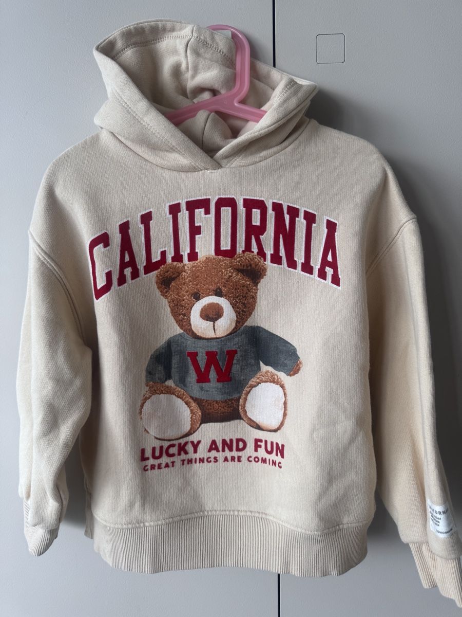 Zara Pullover & Sweatshirts: Felpa Zara – Gebraucht aus Ruvigliana von lux_t2sb