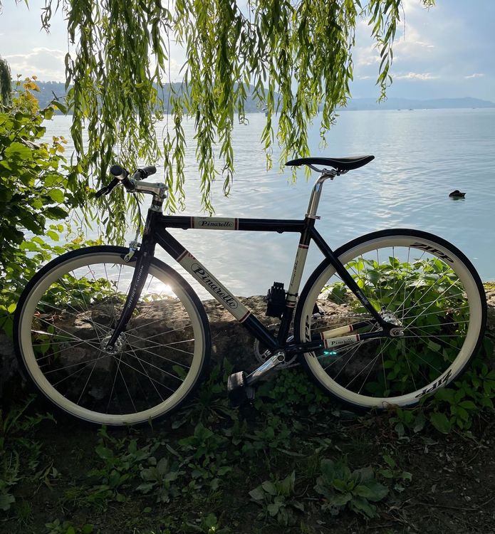 PINARELLO LUNGAVITA Fixie Umbau Comprare su Ricardo