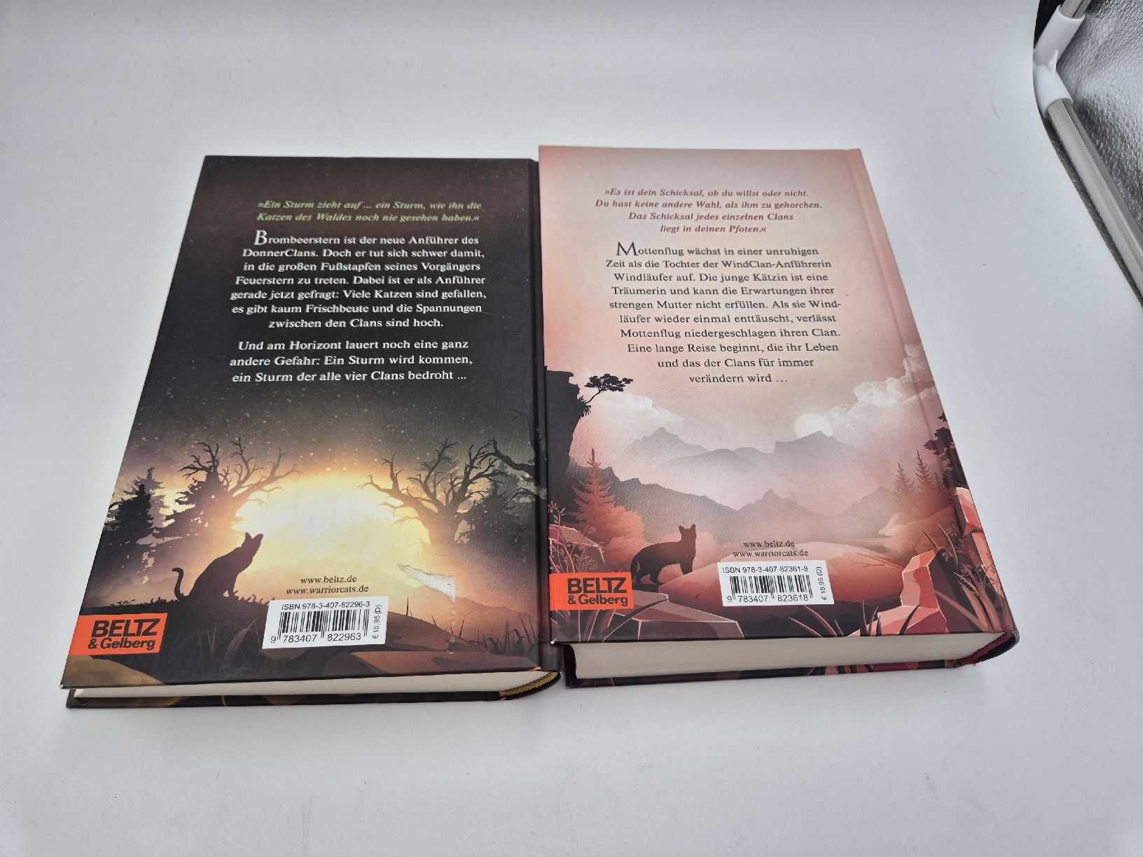 Libri: Warrior Cats Brombeersterns Aufstieg und Mottenflugs Vision – Usato da Ettiswil venduto da beekeper13 1