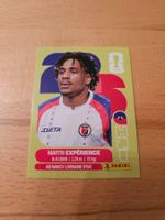 Panini WM 2026 HAI 4