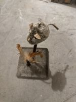 Interactive Cat Toy Scratching Post