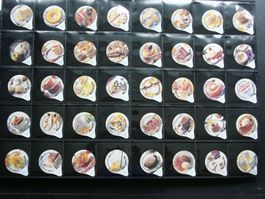 Serie    7170         Coyoten          AZM Gastro + AZM Steg