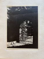 Anna Koppitz (attr.), Fotoalbum (19 x), Tirol, Landschaft