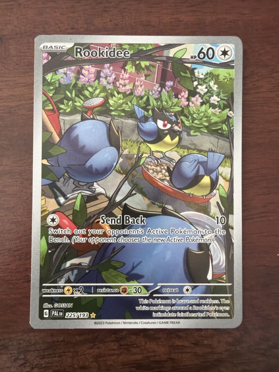 Pokémon Cartes à collectionner: Rookidee (PAL 225) – Neuf (Voir description) à Emmenbrücke par Pack_Ripper