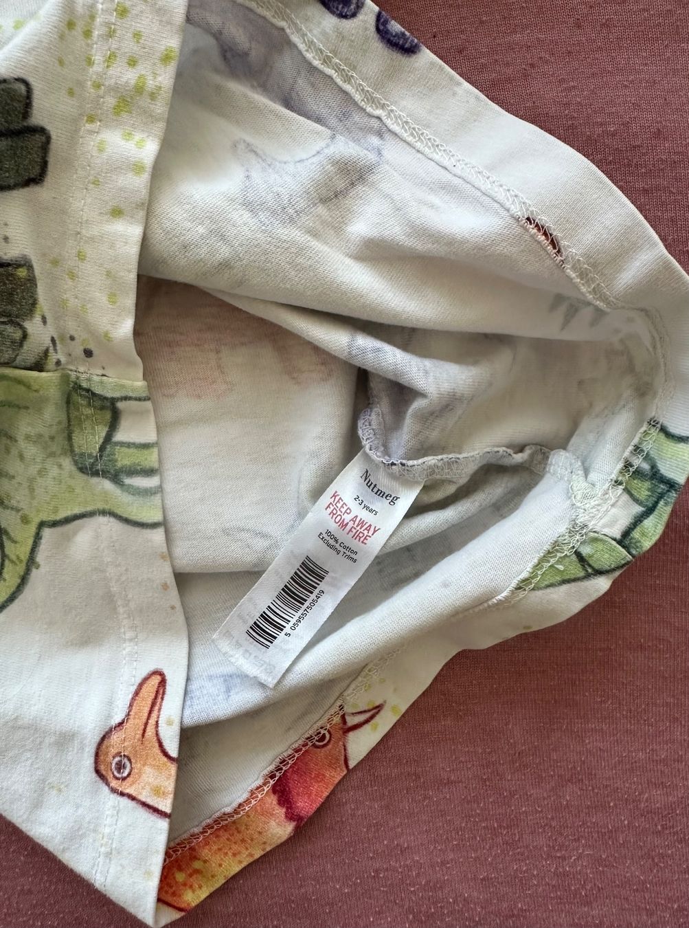 Camicie, T-shirt & Polo: T-Shirt Nutmeg – Usato da Dürrenroth venduto da tvy_bh56 2