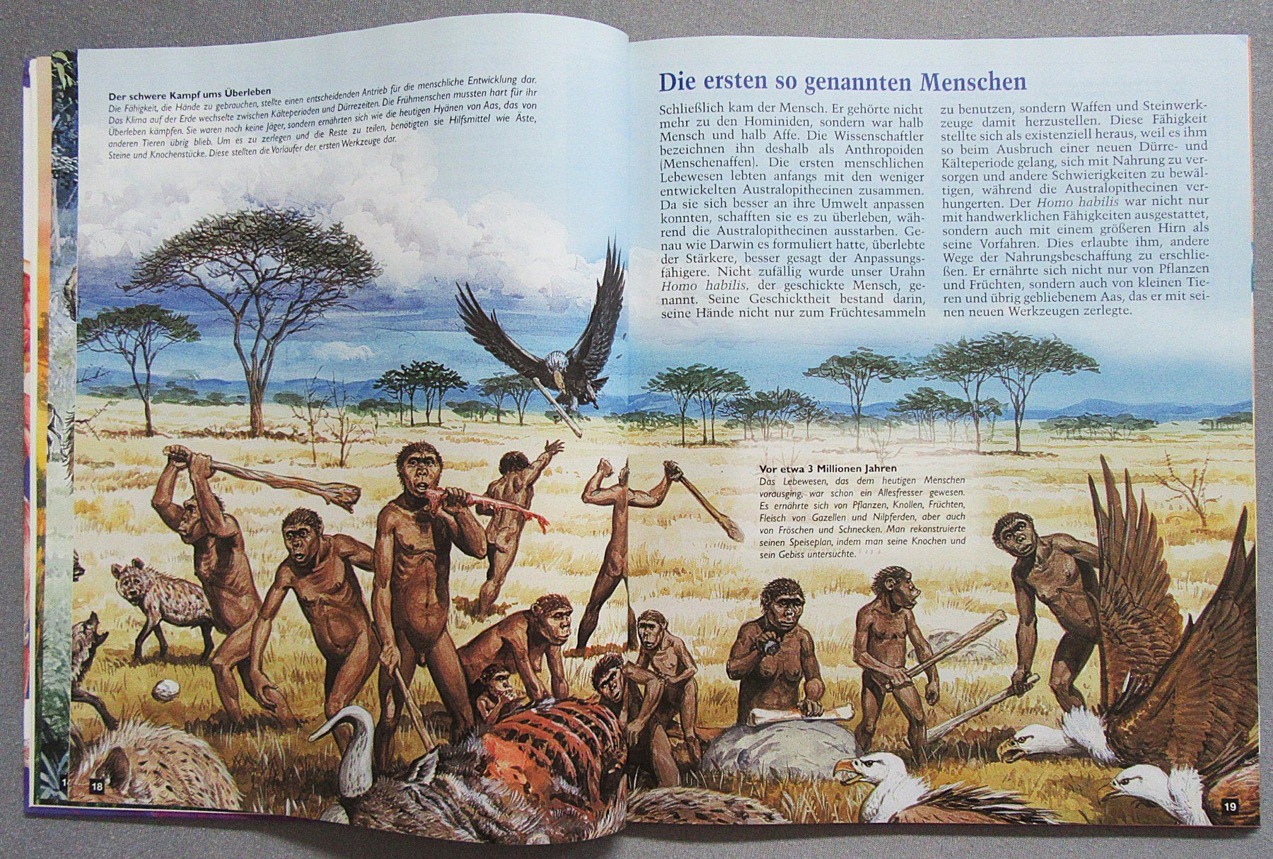Bücher: Der Körper des Menschen - Eine perfekte Maschine – Gebraucht aus Auenstein von Padabimbim 5