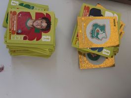 200 panini stickers