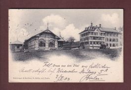 ST. GALLEN - Gruss aus dem Nest - 1903