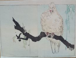 belle estampe oiseau sur sa branche